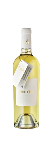 VdP Suisse Ancora blanc Cave de Jolimont